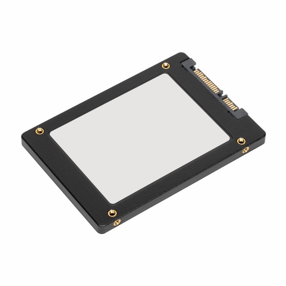 Phison SC-ESM1710-3840G