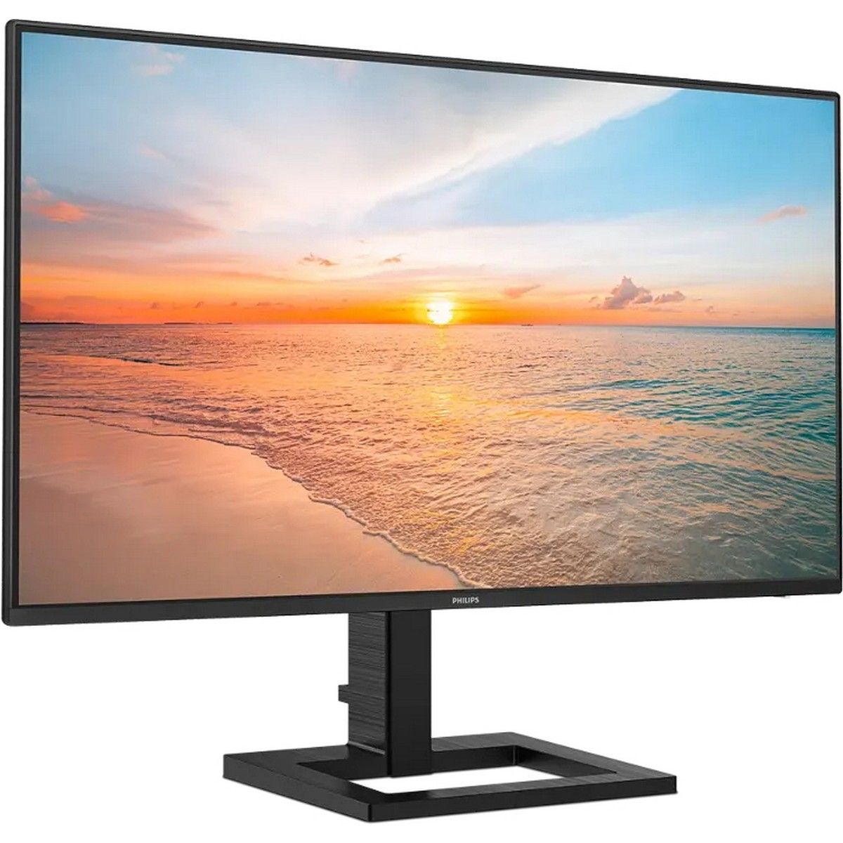 Philips 24E1N1300AE (00/01)